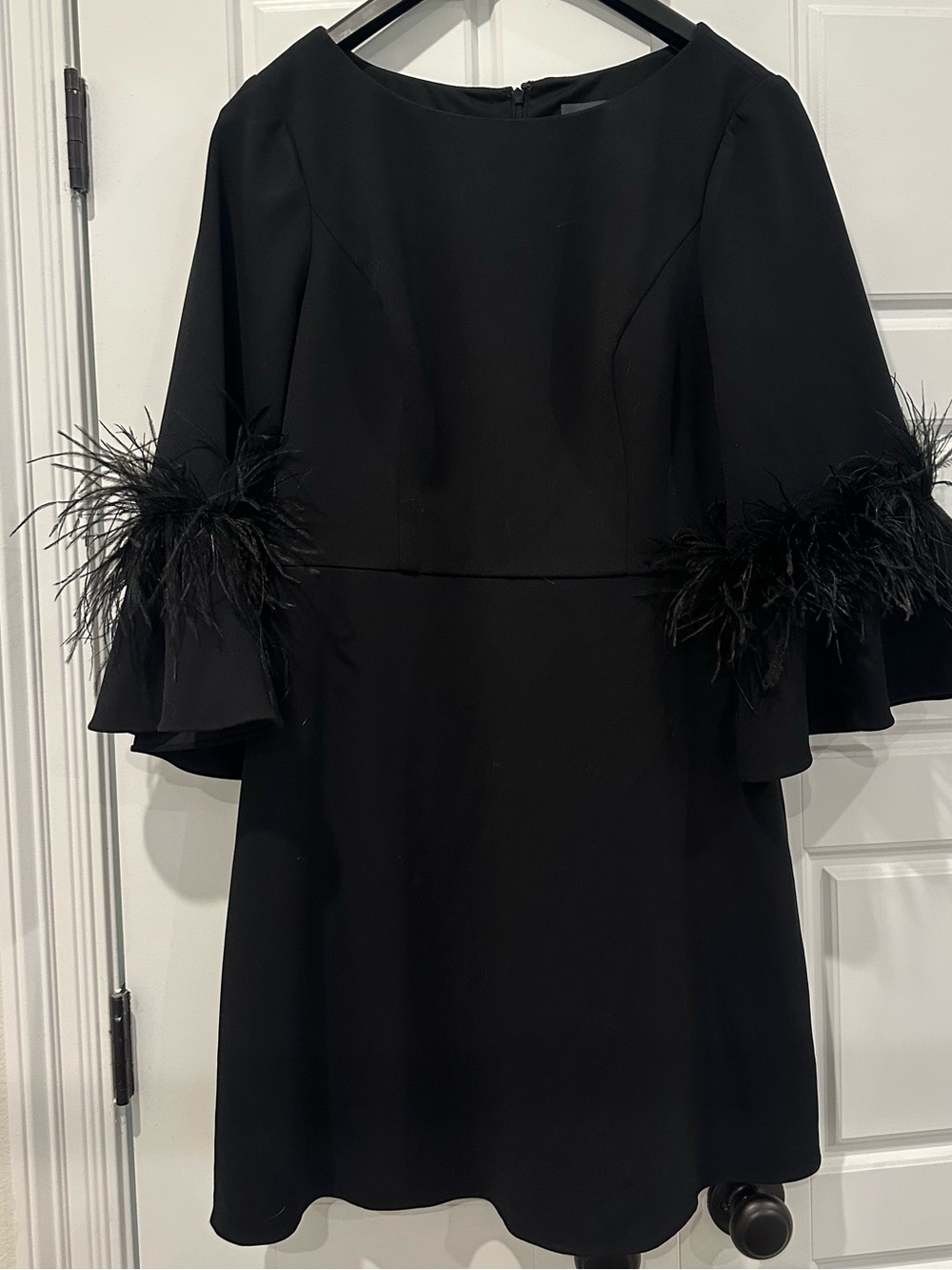 Adrianna Papell Black Mini Dress with Feather-Trim Sleeves
